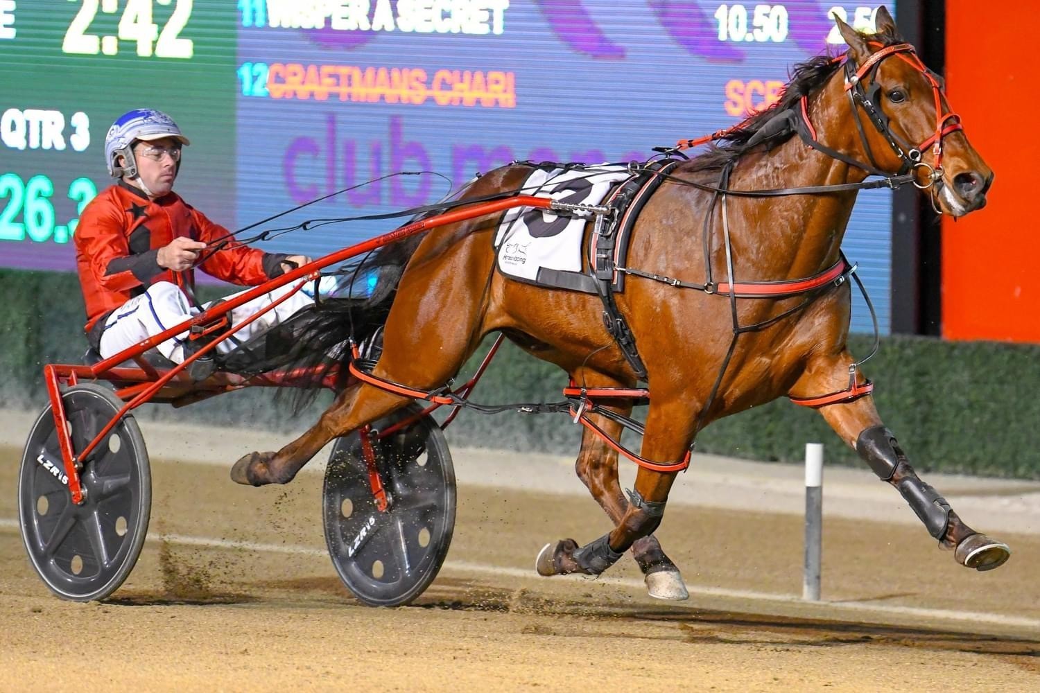 Handful of gems from Lauriston