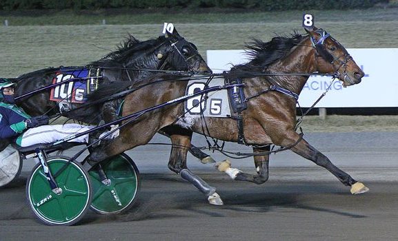 A ‘Winter’ blast at Big M