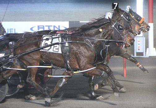 First-ever triple dead heat at The Meadowlands