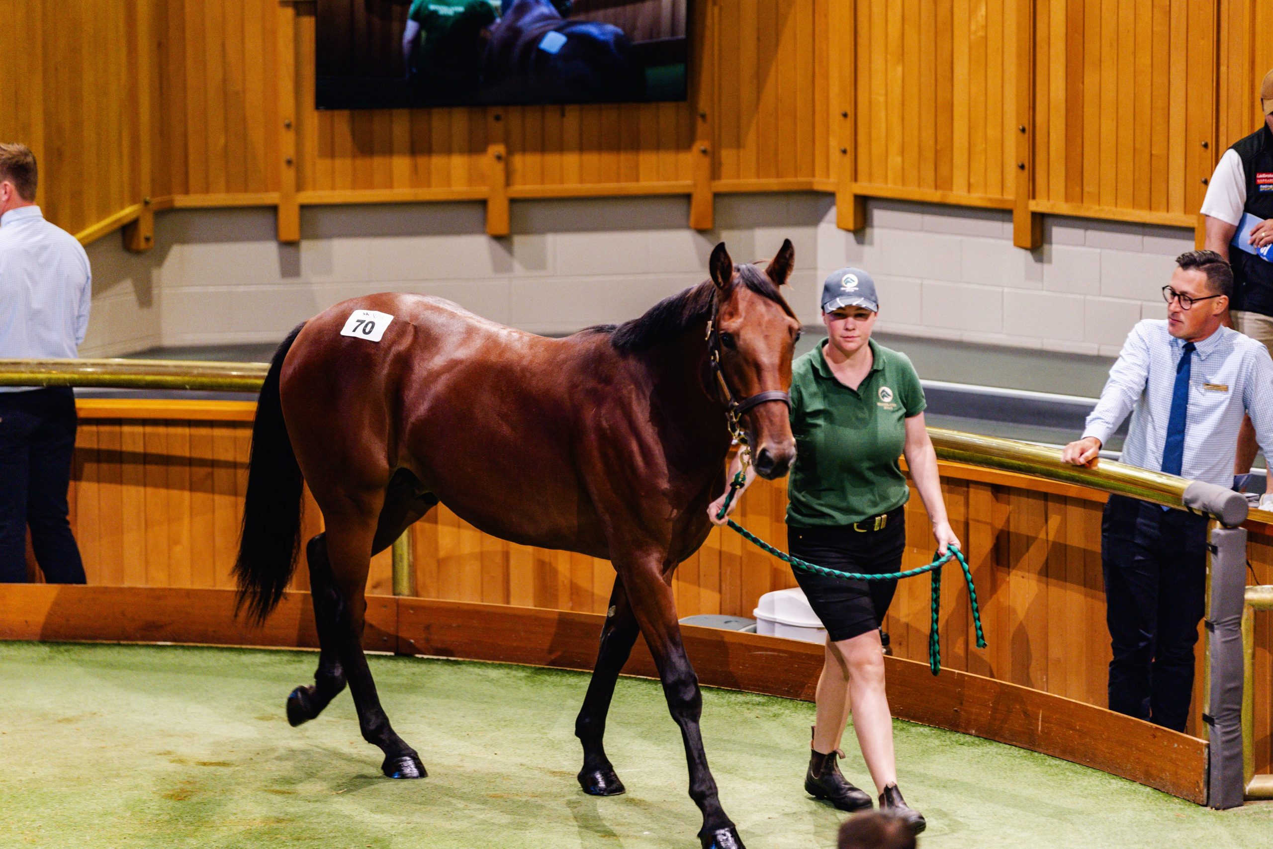 Sale records smashed in positive opening session