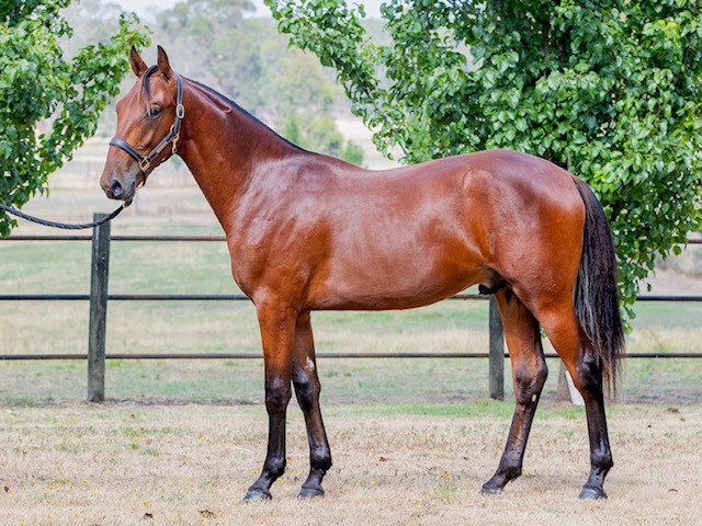 Sweet Sailing for Wayne Hamilton