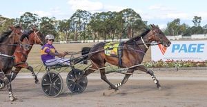 Consistent mare claims the Meander Valley Cup