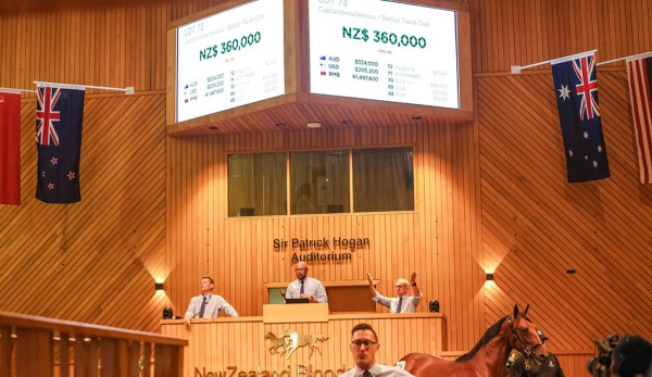 Record-breaking afternoon at the Karaka Yearling Sales