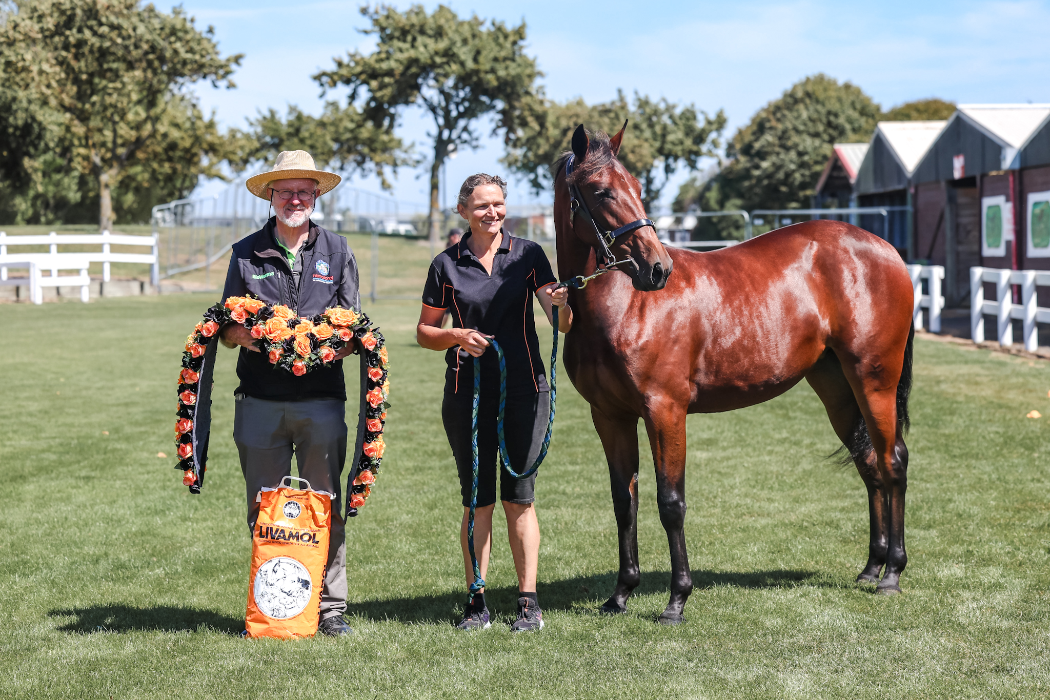 Anderson’s optimistic ahead of CHCH sale