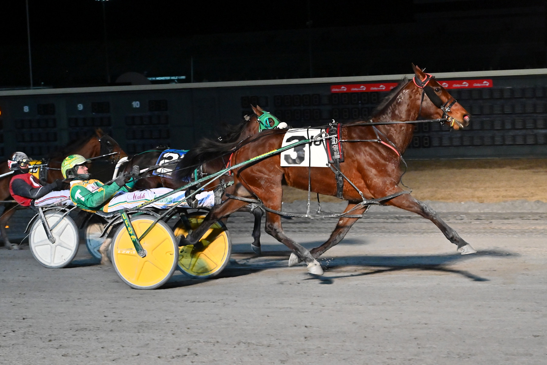 Sunshine Beach gelding storms home to win