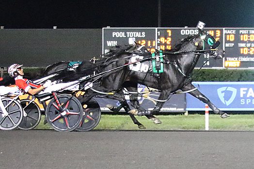 Abuckabett Hanover: ‘He’s the coolest horse I’ve ever been around’