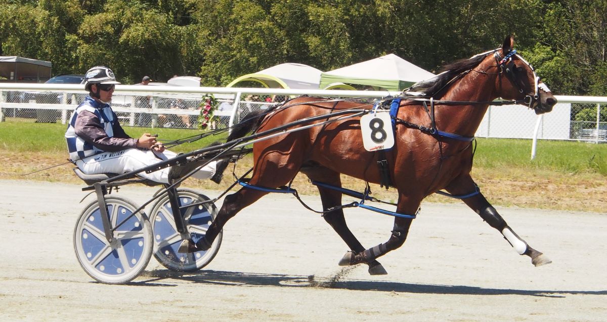 Team Telfer aiming to take out Wairio features