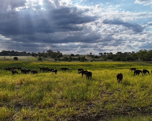 Hard graft brings its rewards