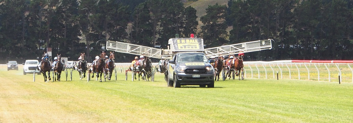 Tokyo Rose wins Fruit Bowl