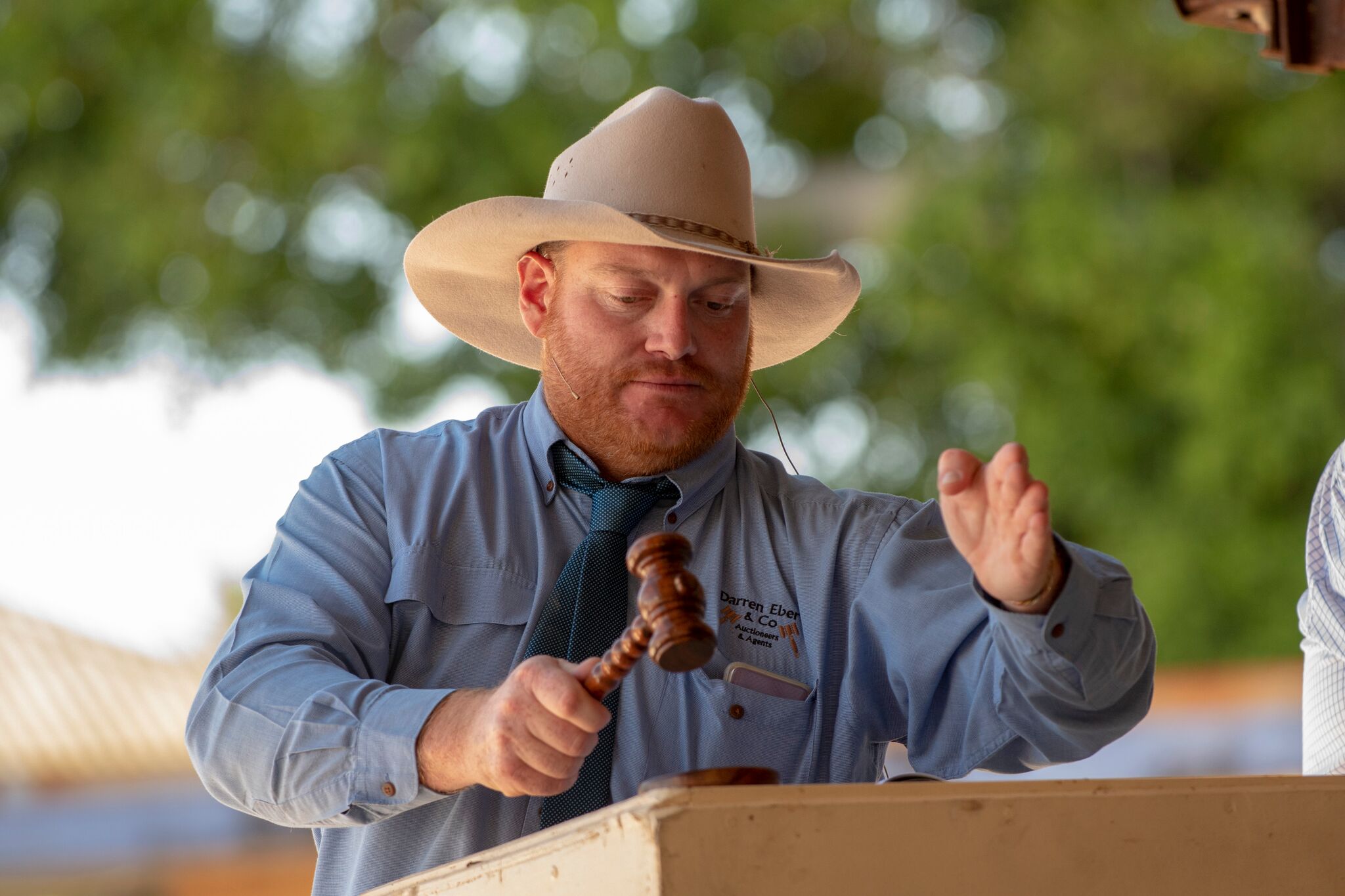 Redcliffe yearling sale catalogues available