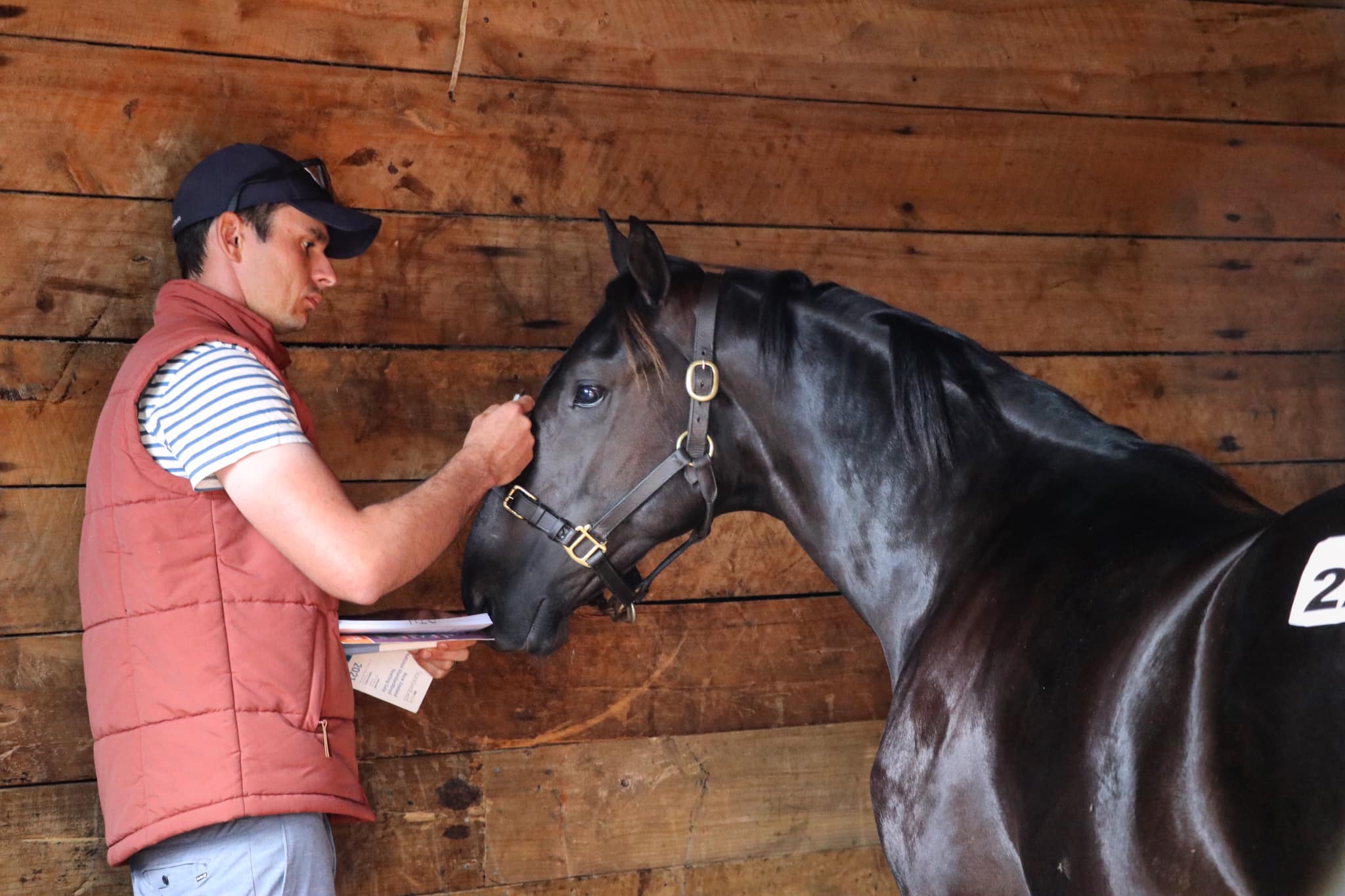 Young Gun Series: David White