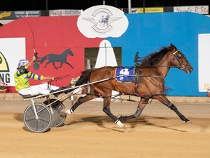 Delightful Tammy’s tough Italian Cup success