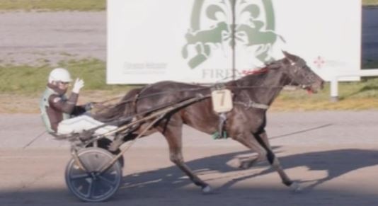 Fortunadrago Font takes Premio Firenze