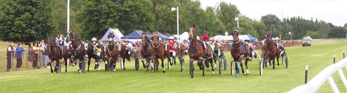 Homebush Lad likely favourite for Gore feature