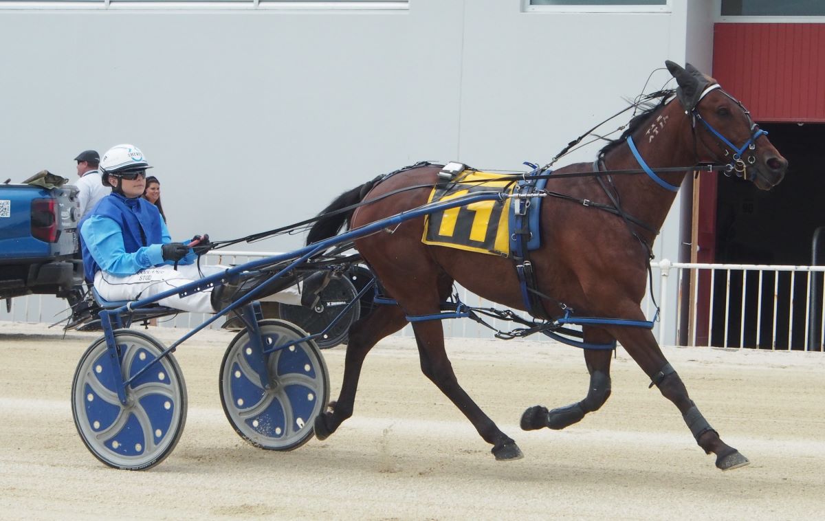 Track specialists win Waikouaiti features