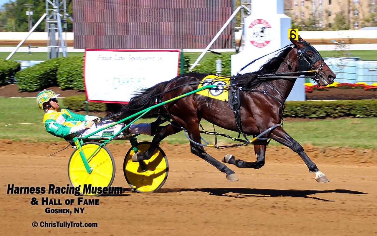 Dewar owes debt to champion mare 