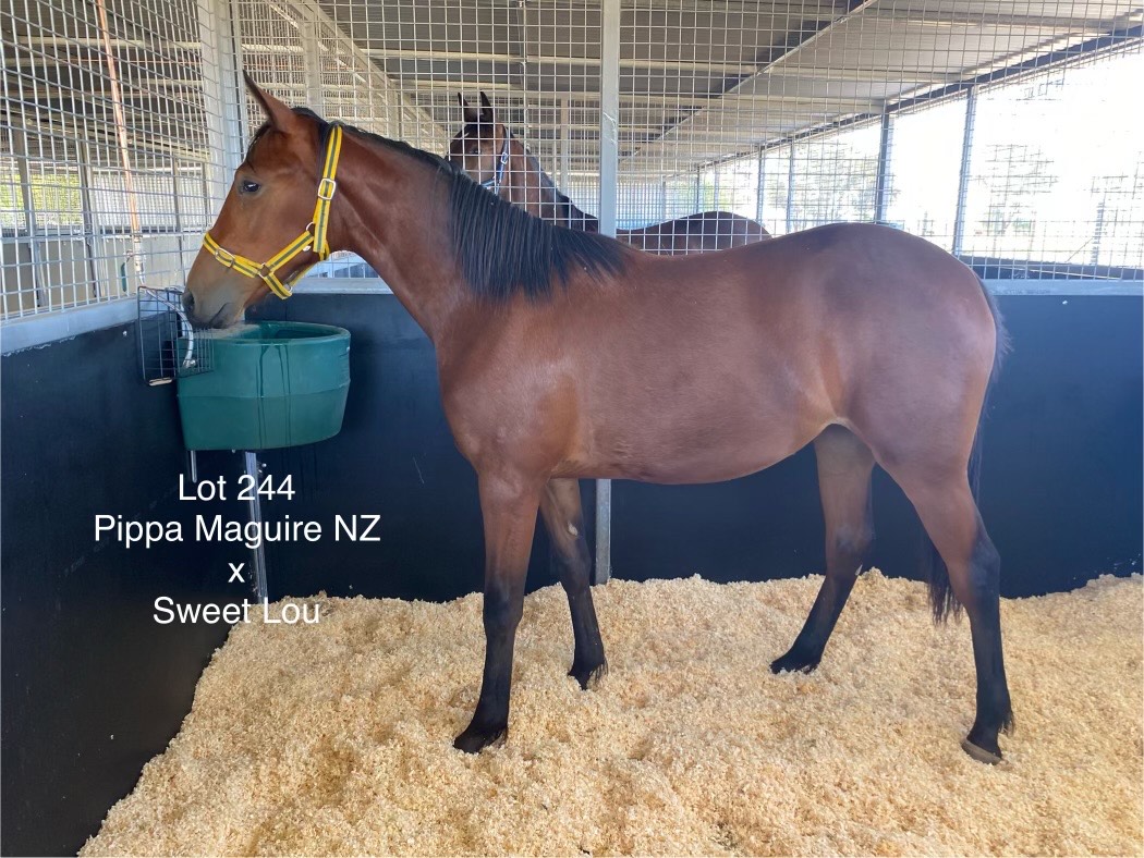 Three ‘A Listers’ from Atworthy Park