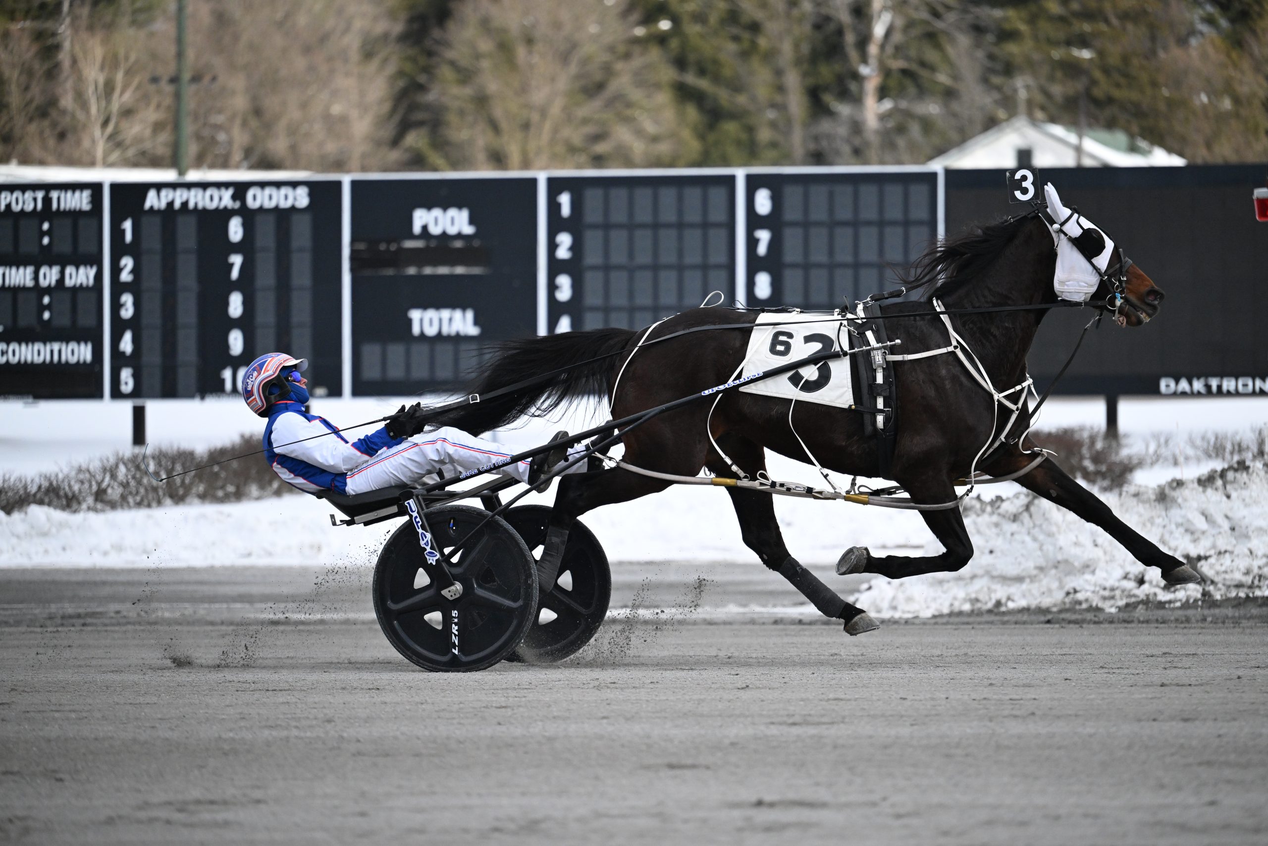 Lanjo Lee upsets for young catch driver