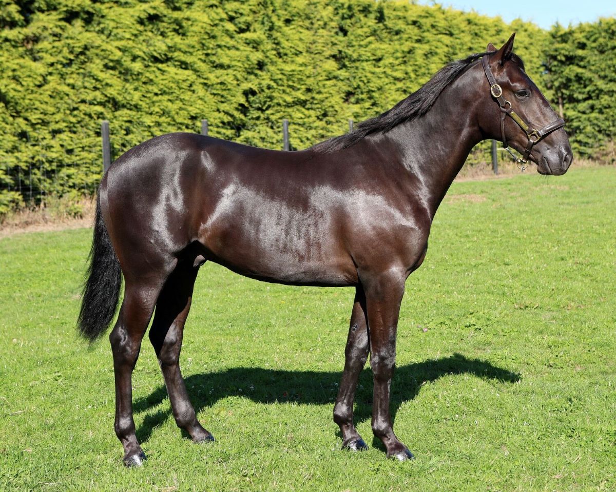 Butt buzzing after a big day at the sales