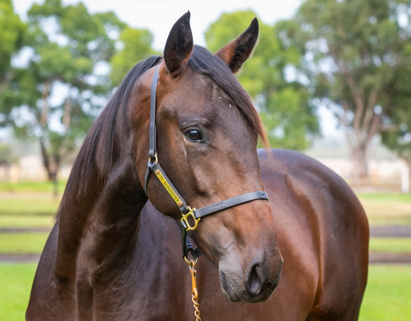 Perth’s prime prospects: Top single lot vendors – Pt1