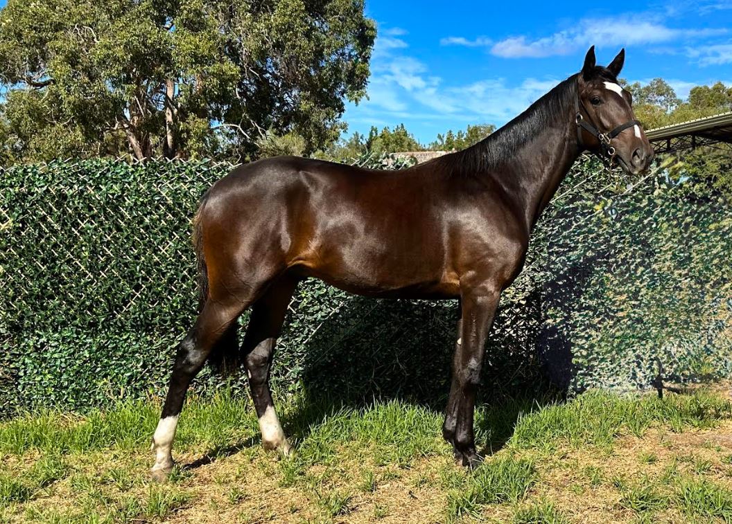 The Capararo legacy lives on