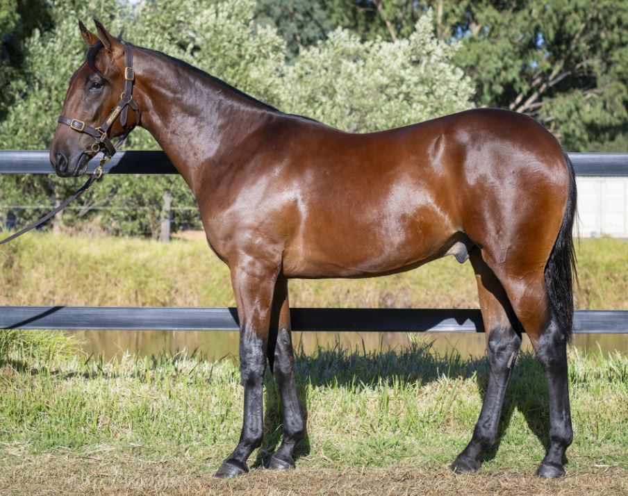 Perth’s prime prospects: Top single Lot Vendors Pt3