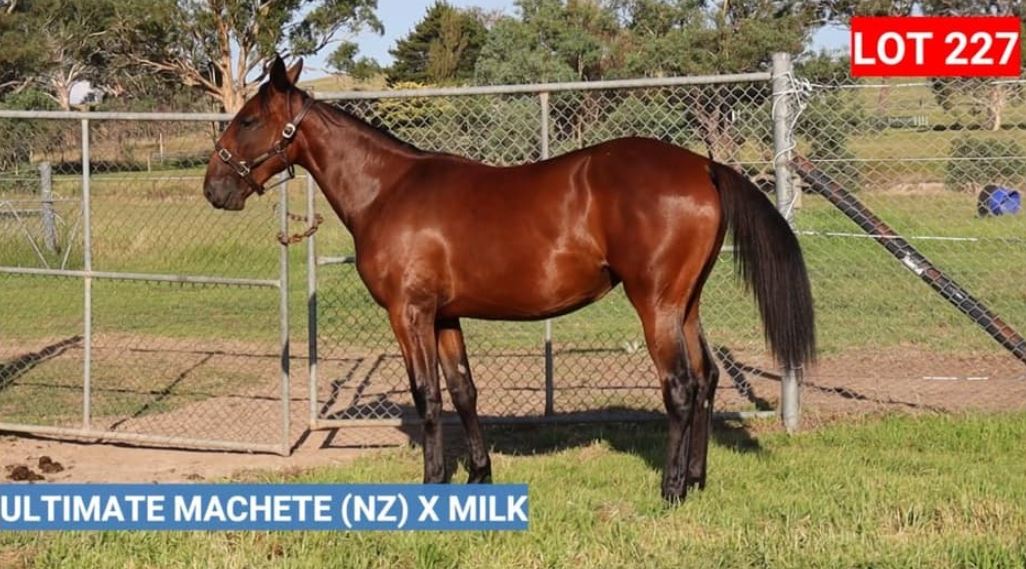 Frank O’Sullivan’s formula for success