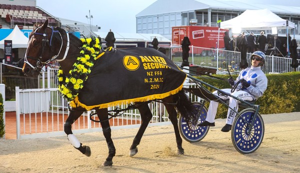 Talented Kiwi stars about to be unleashed in Australia
