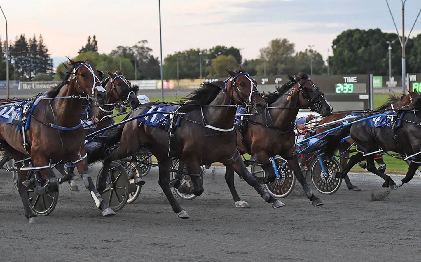 Age-Group accolades for NZB Standardbred stars