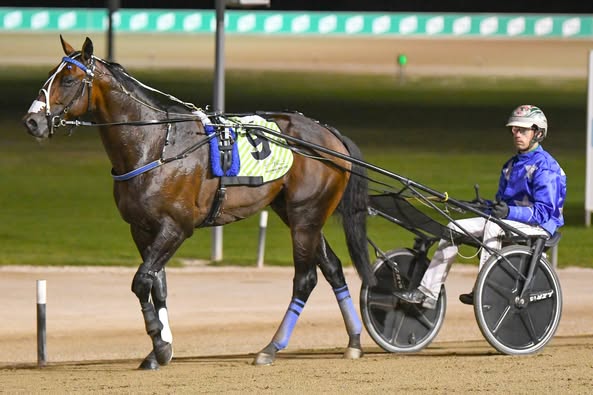 Classy Kiwi presence at Albion Park this weekend