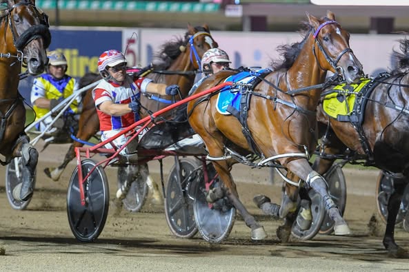 Our Luciano storms home to grab Paleface Adios Stakes.