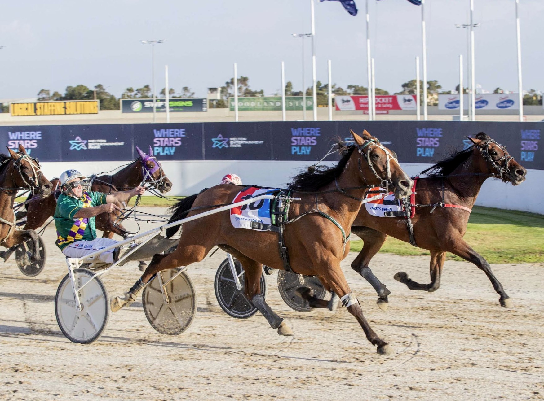 Noted French sire almost sweeps Melton features