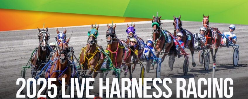 Racing applications available for Tioga and Vernon