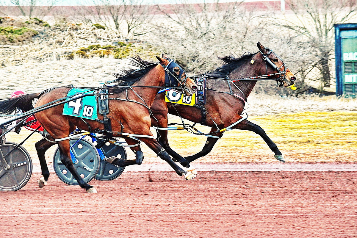 Take Your Pick gritty when winning at Pocono