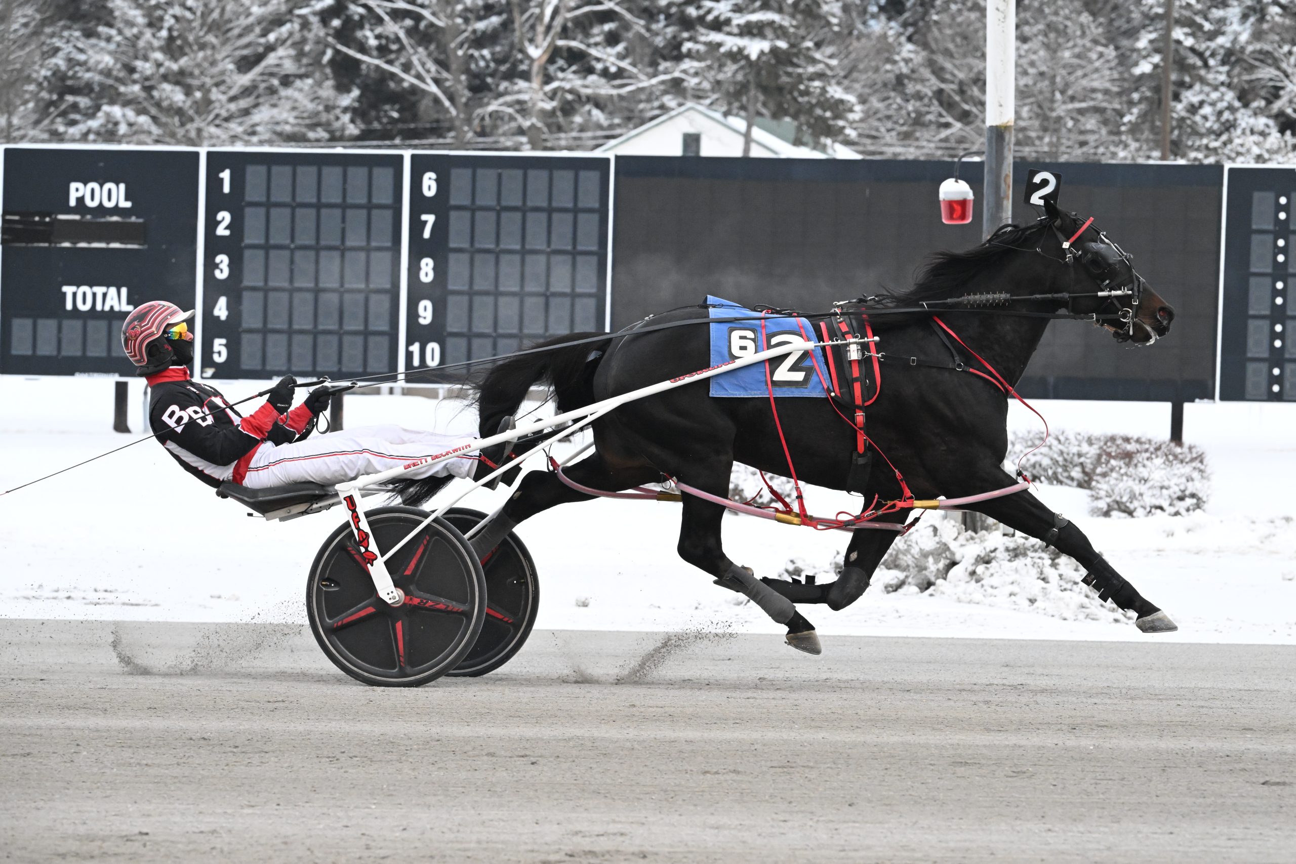 The Good Doctor too good at Saratoga