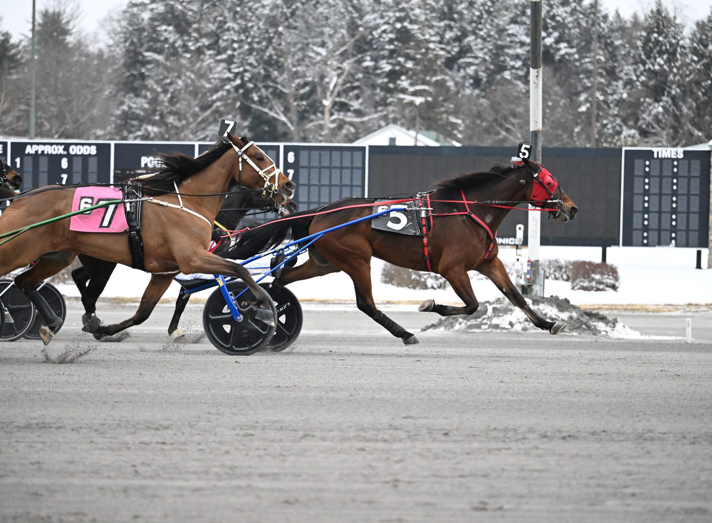 McAssey snags second straight Open