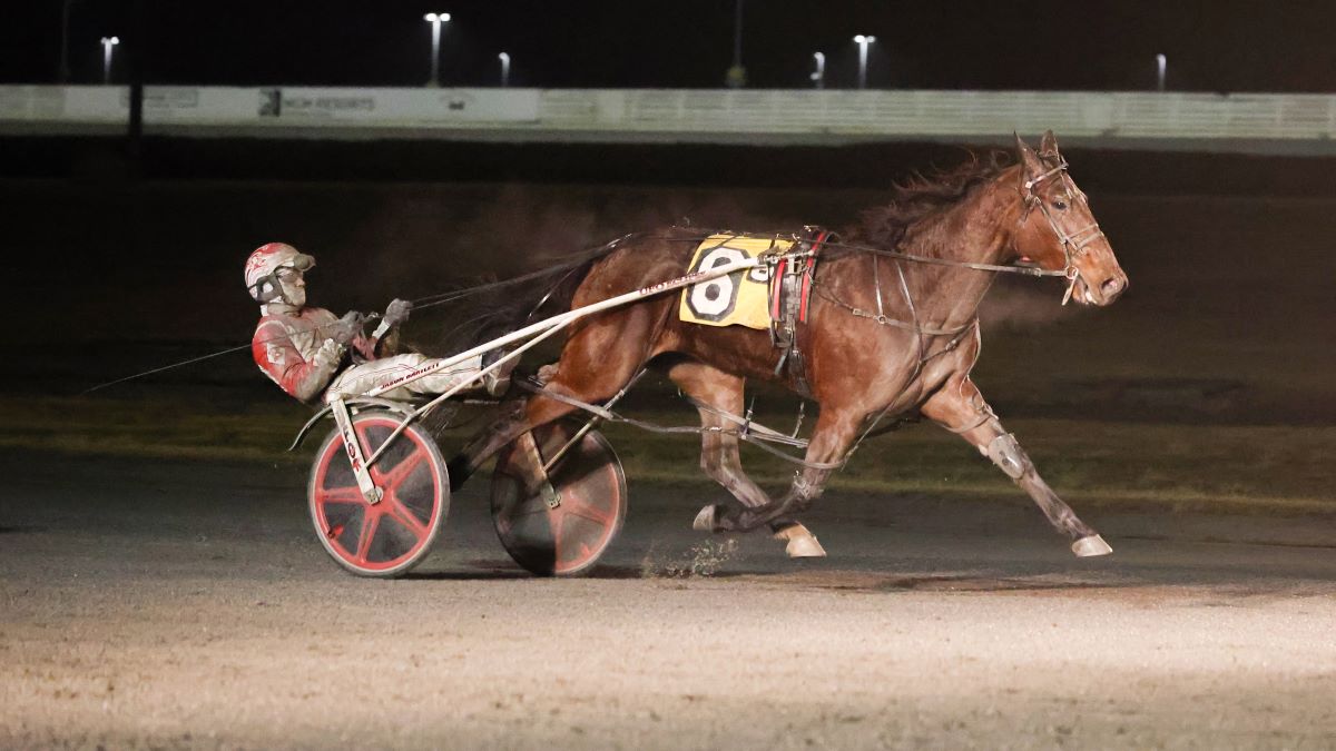 Walkin On Sunshine has her connections feeling good