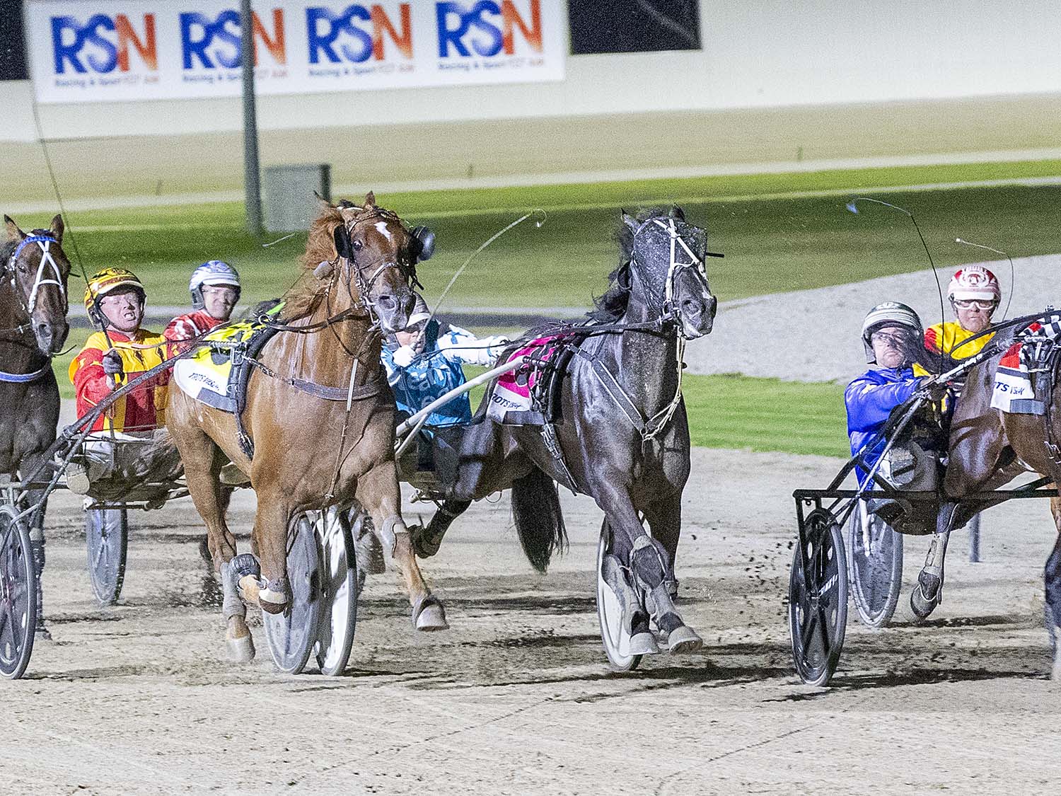 A night to remember for Alabar stallions!