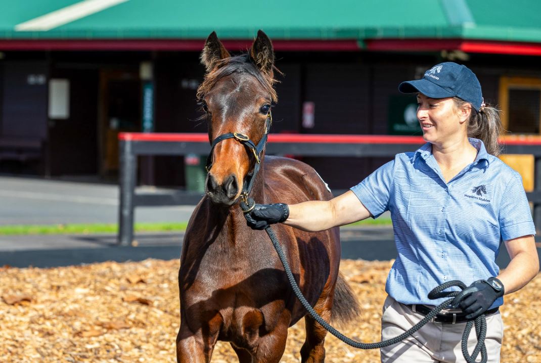 Sale dates finalised for 2025 Weanlings
