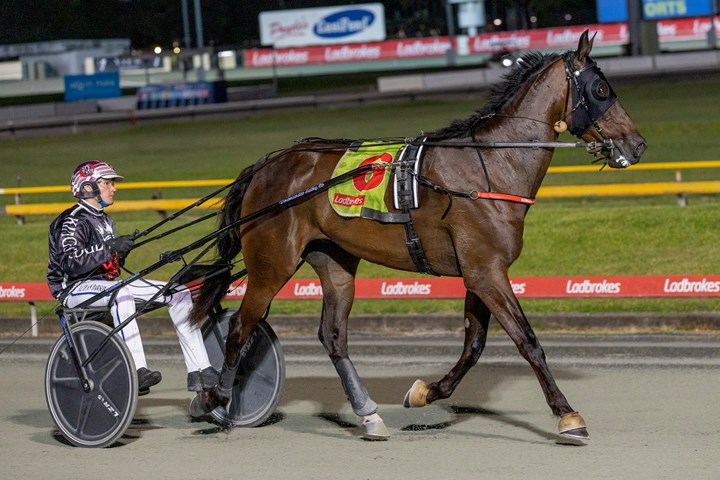 Dawson backed to claim the first UDC crown