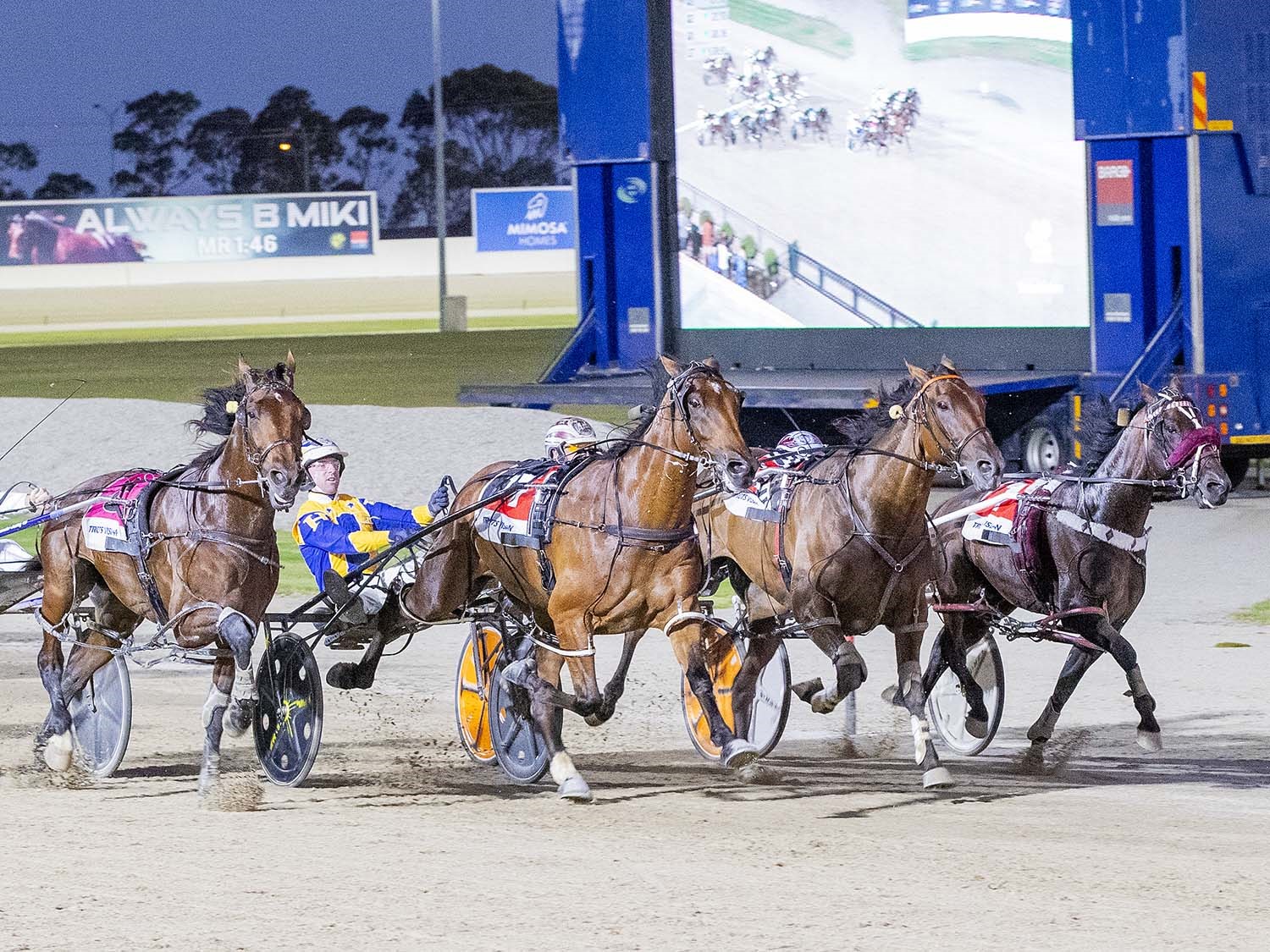 Trent’s Tips – Saturday Harness Racing Preview 14th February