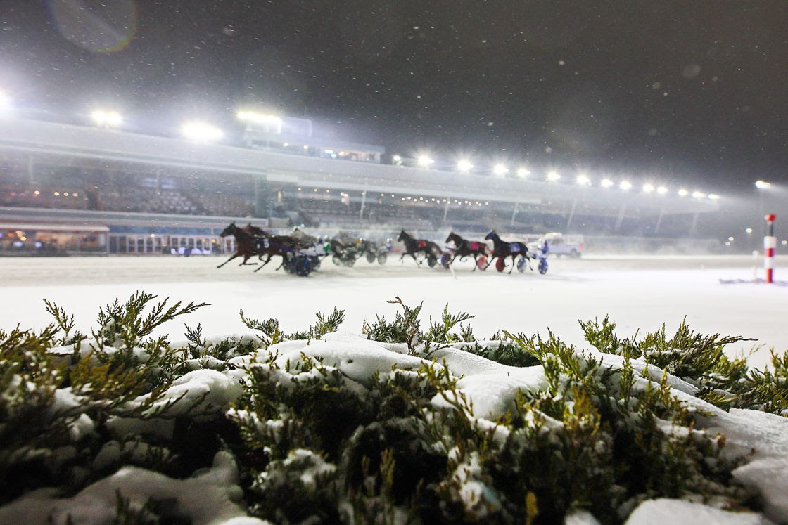 Woodbine Mohawk Park cancels Saturday harness racing card