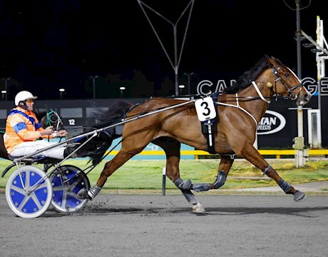 New mixed sale online now