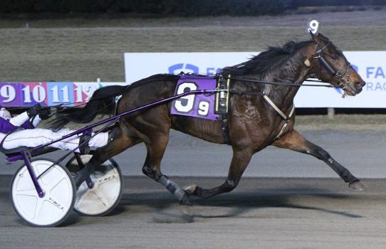 John Brennan Trotting Series final & consolation drawn