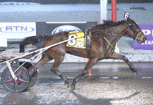 Burke sweeps Big M features