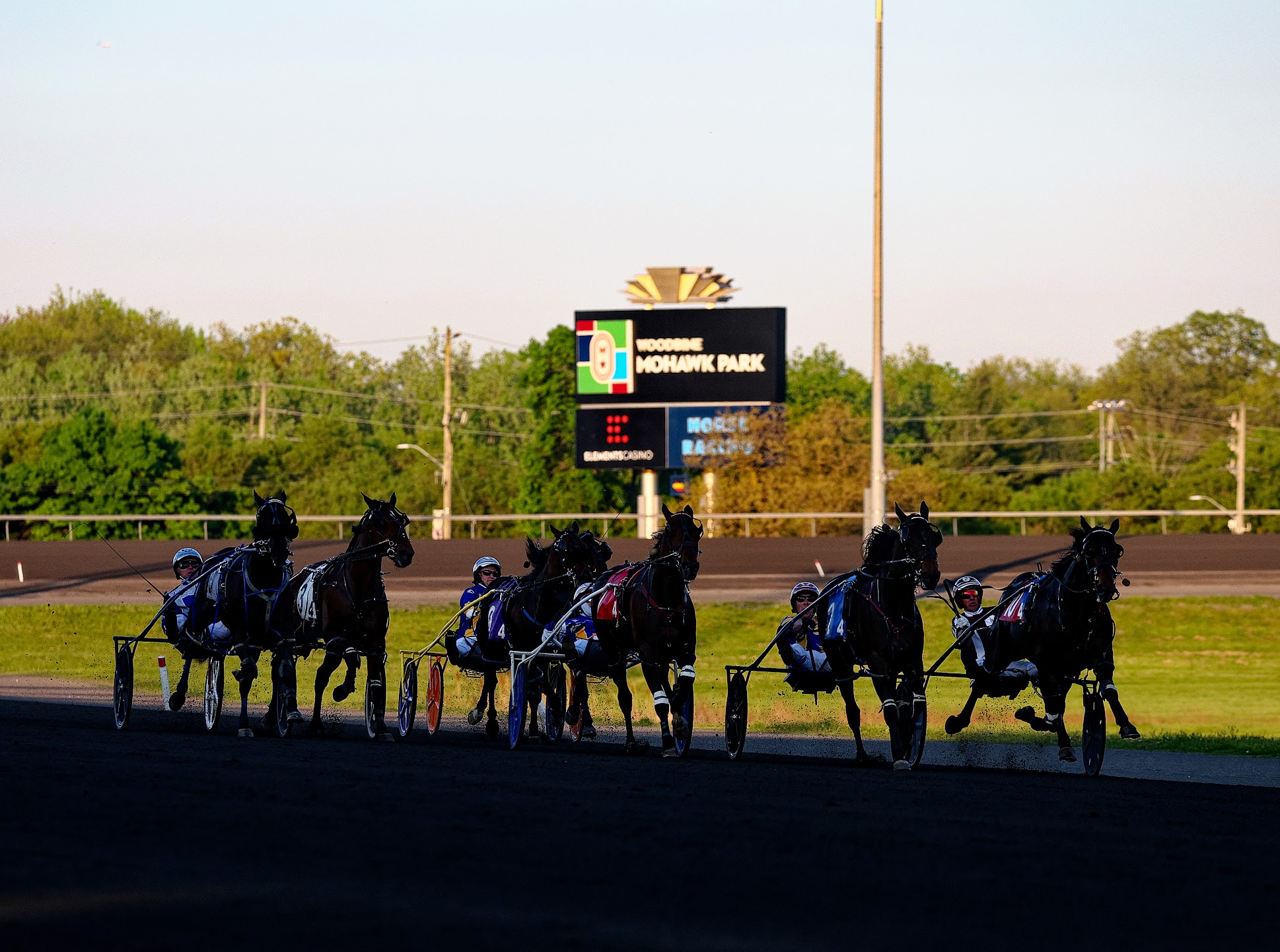 Watch the Breeders Crown Eliminations live