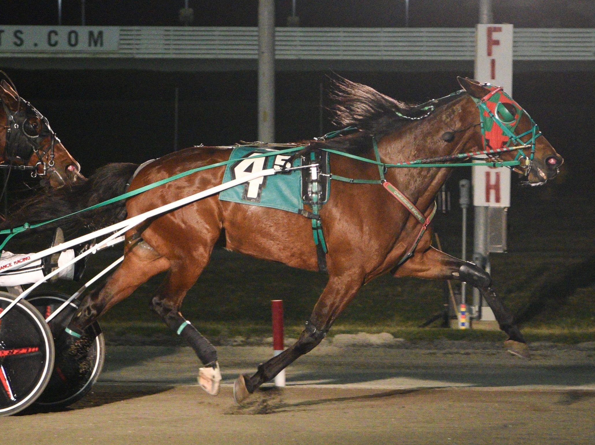 Baker, Sheridan take out NAADA Trots