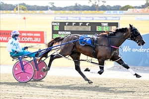 Back to back Pinjarra Cup wins for Minstrel