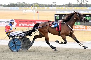 Patched is back to his best