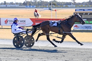 Aptly named Golden Girls Mile